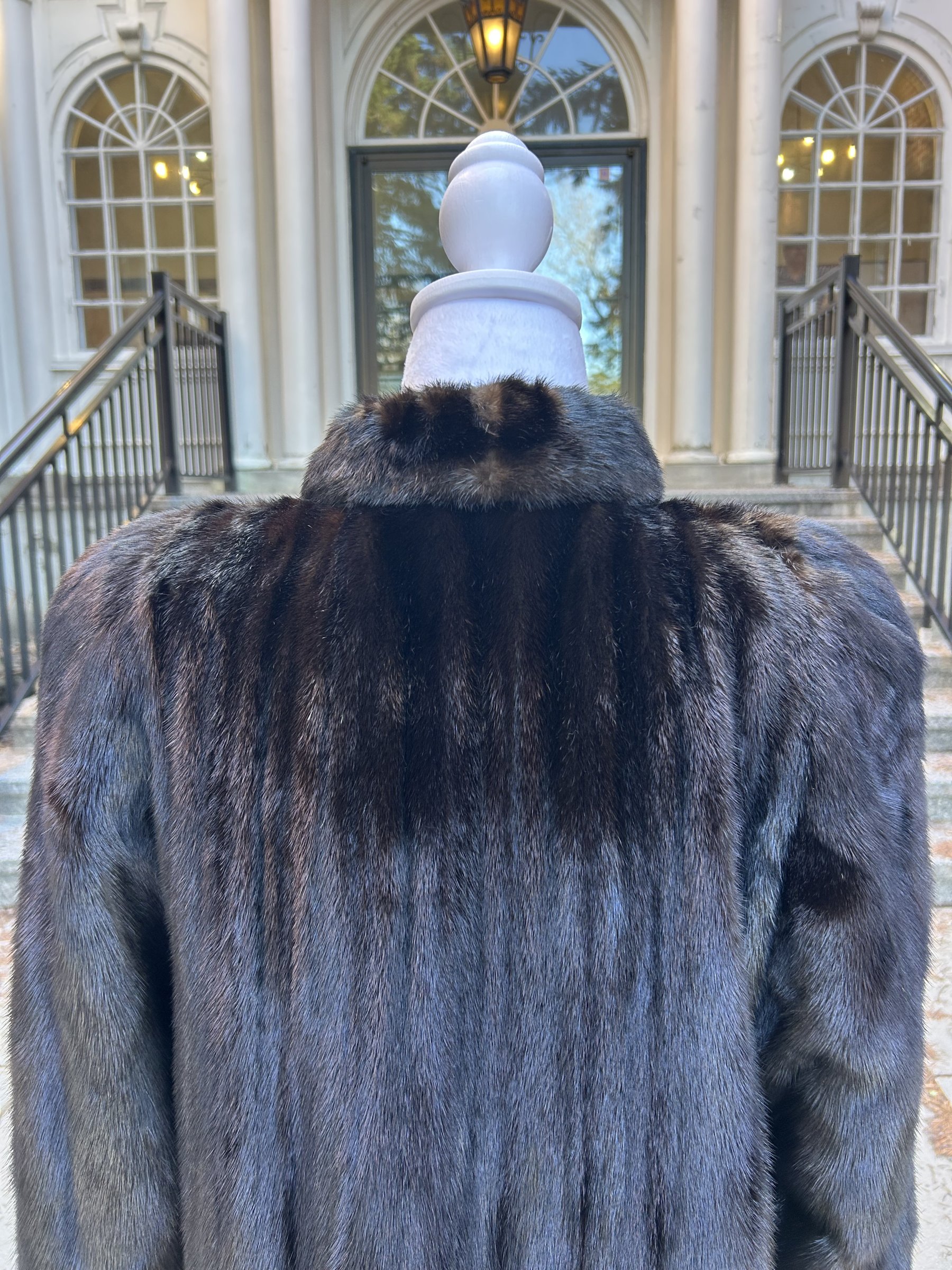 Dark Ranch Female Mink 